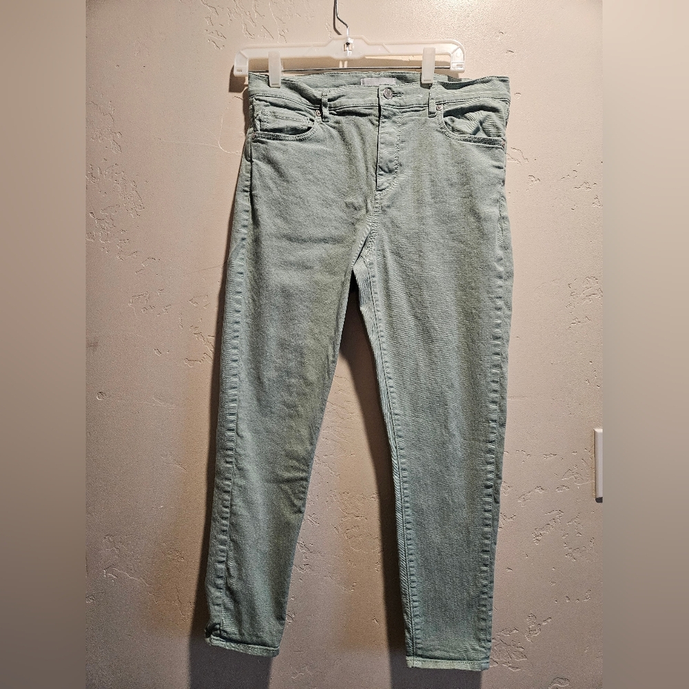 🎉 3 For $15.....MADE AND LOVED LOFT GREEN Skinny JEANS SIZE 30/10 petite